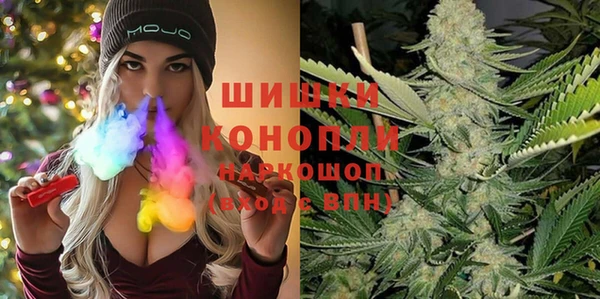 хмурый Арсеньев