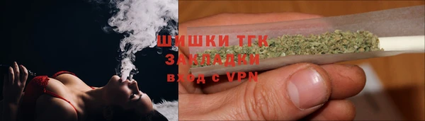 хмурый Арсеньев