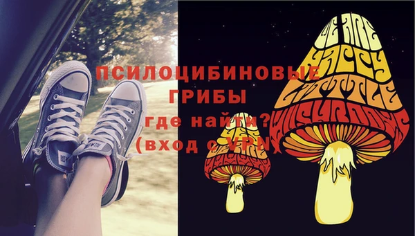хмурый Арсеньев