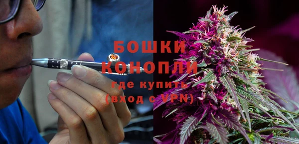 хмурый Арсеньев